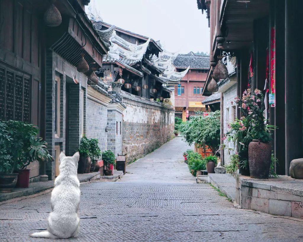 湘西州文化旅游广电局召开退休人员迎新春座谈会