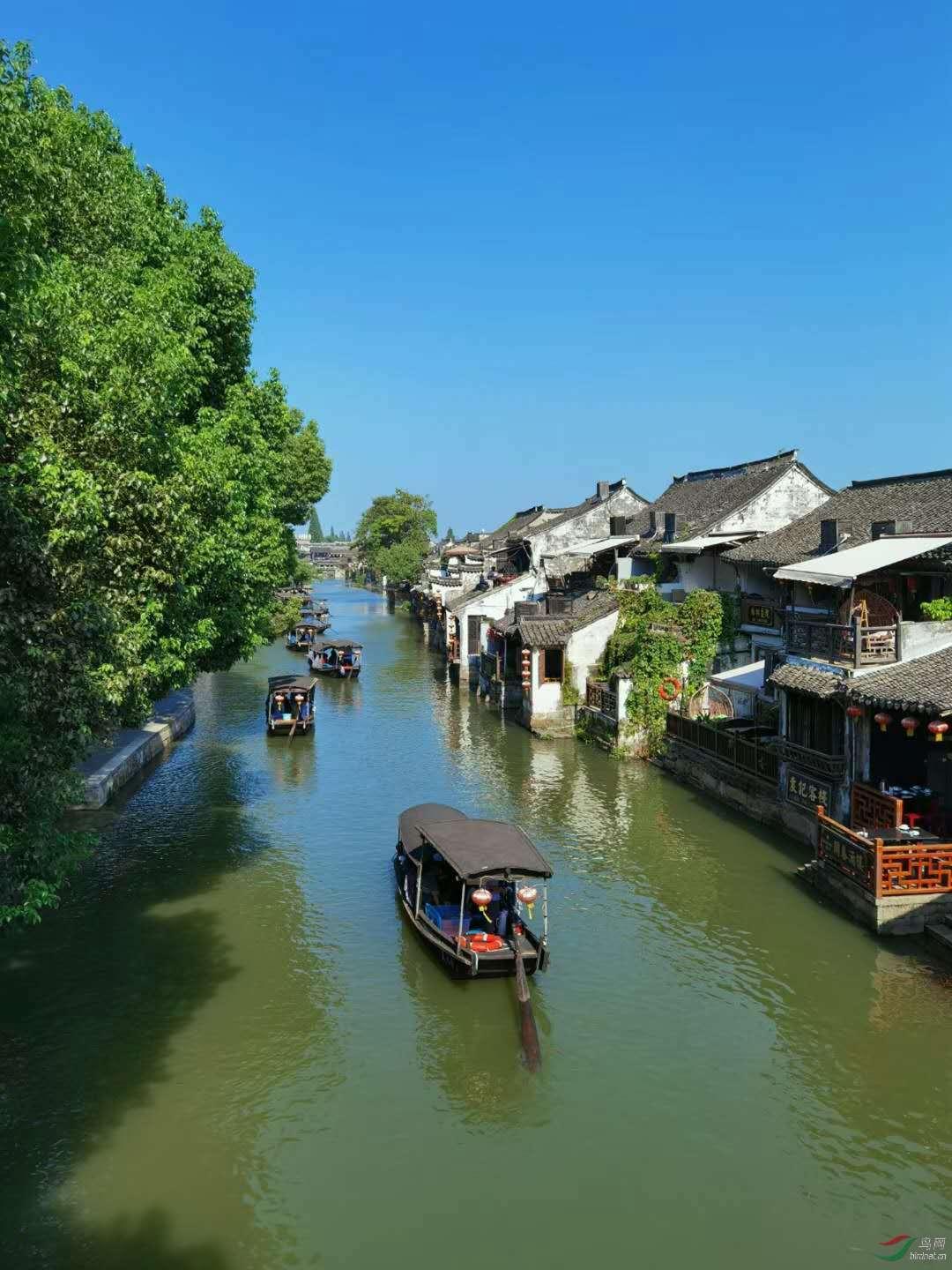 飞扬的方块鸟